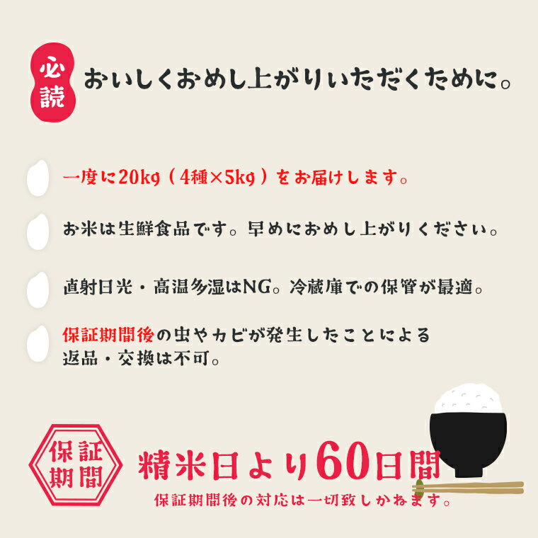 アイテムID:495615の画像4枚目