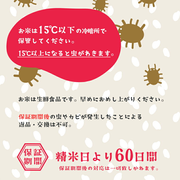 アイテムID:495615の画像5枚目