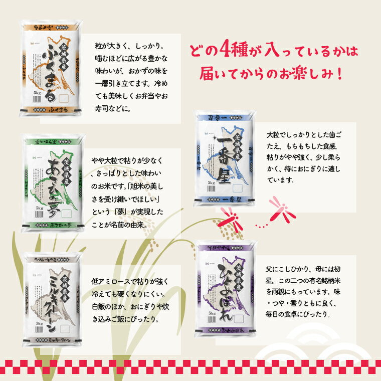 アイテムID:495615の画像3枚目