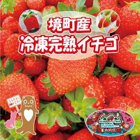 【ふるさと納税】境町産完熟冷凍いちご 500g | 茨城県 境町 いちご 冷凍