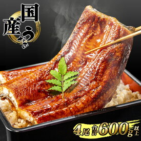 【ふるさと納税】 国産 うなぎ かば焼き4尾 合計600g以上！ タレ 山椒付き | 鰻 ウナギ 蒲焼き 土用の丑の日 ギフト 誕生日 母の日 父の日 【1～3週間程度で発送】うなぎ復活プロジェクト 小分け 鰻楽