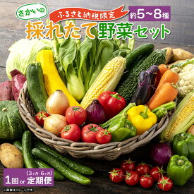【ふるさと納税】野菜 新鮮 定期便 さかいの採れたて野菜 国産 茨城県産 境町産 詰め合わせ 道の駅 さかい 境町