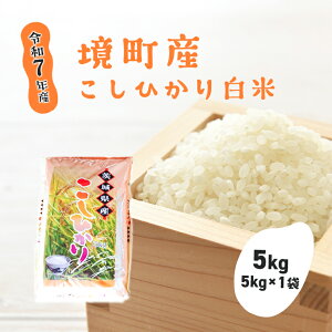 yӂ邳Ɣ[Łzyߘa7NYz蔒āuRVqJv 5kg(5kg×1) |   2025NY Ђ