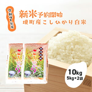 yӂ邳Ɣ[Łzyߘa7NYẑ蔒āuRVqJv10kg(5kg×2) |  2025NY 錧Y