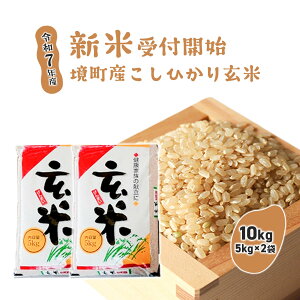 yӂ邳Ɣ[Łz  Ђ yߘa7NYz茺āuRVqJv 10kg(5kg×2) |  2025NY 錧Y
