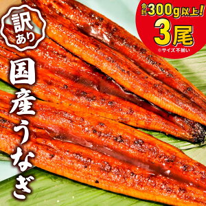 yӂ邳Ɣ[Łz 101񕍊zI Ȃ Y V EiM s unagi 󂠂 2 3 200gȏ 300gȏ KiO Ă  st ő 7ȓɔ 󂠂 Y Ȃ s 