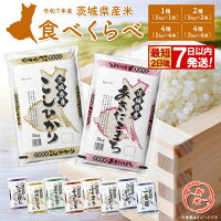 【ふるさと納税】新米!!＜最短2日後発送＞or＜11月発送 12月発送 数...