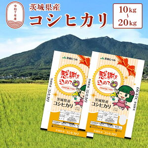 【ふるさと納税】令和7年産 茨城県産 コシヒカリ 白米 10kg (5kg×2袋) 20kg(10kg×2袋) JA 茨城むつみ | 米 お米 精米 ブランド米 こしひかり