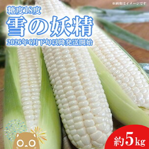 【先行予約】【2026年6月下旬以降発送開始！】糖度18度...