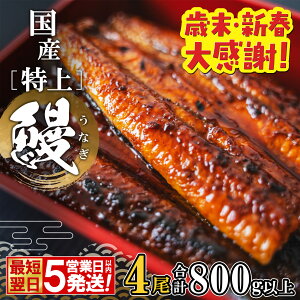 yӂ邳Ɣ[ŁzyΖEVt 労!zY イȂ Ă 1`4 (200g`800gȏ) ȈՑ ^ Rt | 錧  Ȃ Y  ^ ȈՑ Y  ^ Mtg V EiM 