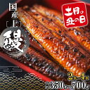 うなぎ 国産 3尾 2尾 4尾 小分け 鰻 ウナギ 高評価...