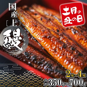 うなぎ 国産 3尾 2尾 4尾 小分け 鰻 ウナギ 高評価...