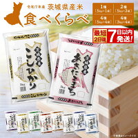 【ふるさと納税】米 10kg 米 5kg 10kg 20kg コシヒカリ ...