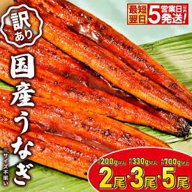 【ふるさと納税】うなぎ 国産 丑の日 訳あり 鰻 不揃い 2尾 3尾 5尾 200g以上 330g以上 規格外 蒲焼き 小分け 先行受付 最速便 5日以内に発送 訳あり 国産 うなぎ 不揃い 無選別 蒲焼 丑の日 発送時期が選べる 土用の丑の日 鰻楽 発送時期選択 ウナギ unagi
