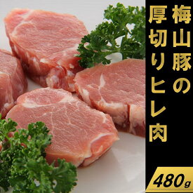 【ふるさと納税】塚原牧場の幻の豚「梅山豚」厚切りヒレ肉480g（160g×3個）｜肉 豚肉 フィレ 茨城県産 国産