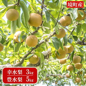 【ふるさと納税】先行予約開始！！ 毎年即完売！ ※2026年産 先行予約 境町 幸水 梨 3kg 豊水 5kg（数量限定）梨 なし ナシ 茨城県産 令和8年産