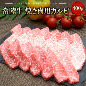 yӂ邳Ɣ[Łz헤 (Ђイ) yA5EA4zēp Jr 400gb   a Ă BBQ o