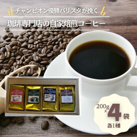 【ふるさと納税】ジャパンバリスタチャンピオンシップ優勝者のいる珈琲専門店の自家焙煎コーヒー（レギュラー・袋）【つくば市×牛久市×龍ケ崎市×利根町共通返礼品】