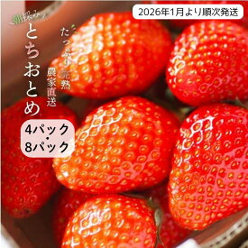 【ふるさと納税】【2026年1月より発送】いちご専門農家直送！朝摘み収穫したての完熟とちおとめ 4パック 8パック ／ とちおとめ いちご 苺 イチゴ 完熟 果物 フルーツ 予約 先行予約 茨城県 茨城 利根町