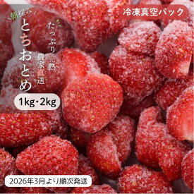 【ふるさと納税】【訳あり/2026年3月より発送】完熟朝摘みとれたての冷凍いちご　とちおとめ　1kg・2kg　農家直送 の冷凍苺を真空パックでお届け ／ とちおとめ いちご 苺 イチゴ 完熟 冷凍 果物 フルーツ 予約 先行予約 訳あり 訳アリ 茨城県 茨城 利根町 1kg 2kg