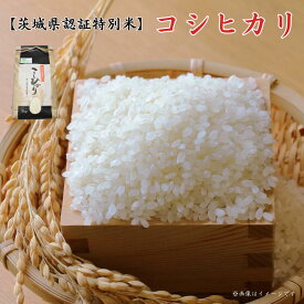 【ふるさと納税】《 令和7年産 》【 茨城県認証特別米 】 コシヒカリ ／ こしひかり 米 こめ コメ お米 おこめ ごはん ご飯 新米 令和7年 安心 安全 茨城県 利根町