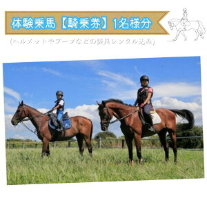 yӂ邳Ɣ[Łžn@R挔Ai30^1lj