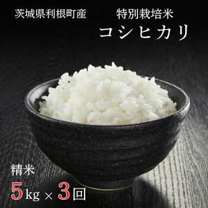 yӂ邳Ɣ[ŁzYyʍ͔|āzRVqJ ^  R  ͂ RVqJ   5kg 10kg  ʍ͔| ߘa7NY V 錧 