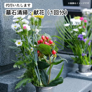 yӂ邳Ɣ[Łzs܂@ΐ|Eԁi1񕪁j