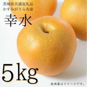 yӂ邳Ɣ[Łzs2026Ns\t  K 5kg i錧ʕԗiE݂sYj ^  Ȃ ʕ t[c s\ K 5kg