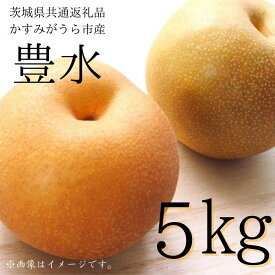 【ふるさと納税】 《2026年先行予約》 梨 豊水 5kg （茨城県共通返礼品・かすみがうら市産） ／ 梨 なし 果物 フルーツ 先行予約 豊水 5kg