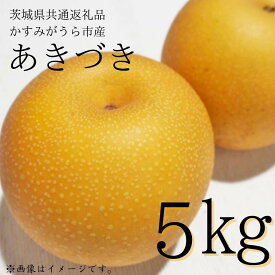【ふるさと納税】 《2026年先行予約》 梨 「 あきづき 」 5kg （茨城県共通返礼品・かすみがうら市産） ／ 梨 なし 果物 フルーツ 先行予約 あきづき 5kg