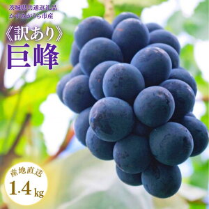 �y�ӂ邳�Ɣ[�Łz�s�󂠂�t����@1.4kg�i��錧���ʕԗ�i�E�����݂�����s�Y�j �^ ���� ����ق� �L���z�E ���� �Ԃǂ� �u�h�E �ʕ� �������� �t���[�c �󂠂� ��A�� �K�i�O �ƒ�p 1.4kg 