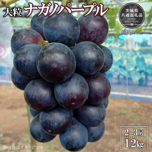 yӂ邳Ɣ[Łzy2026Ns\zL@엿͔| 嗱 iKmp[v v1.2kg ǂ Yni錧ʕԗiE݂sj ^ Ԃǂ  uhE iKmp[v s\ \ 