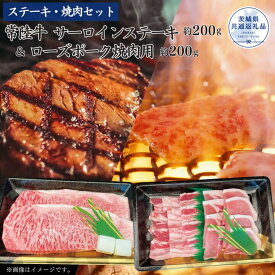 【ふるさと納税】【ステーキ焼肉セット】常陸牛ステーキ・ローズポーク焼肉用　選べる容量 （茨城県共通返礼品）