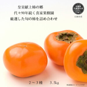 yӂ邳Ɣ[Łzy2025Nzc`̋^Ɖʎy`zilߍ킹i11`13ʁj3.5kg@HExLȂǁi錧ʕԗiEΉsYj