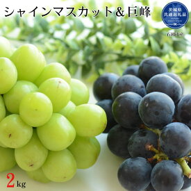 【ふるさと納税】開田ぶどう園　シャインマスカット＆巨峰（種あり）セット　合計2kg（茨城県共通返礼品・石岡市産） ／ 葡萄 ぶどう ブドウ シャインマスカット マスカット 巨峰 フルーツ 果物