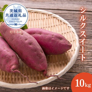 yӂ邳Ɣ[Łz܂uVNXC[gv10kgi2025NYji錧ʕԗiEssYj ^ ܂ ܈ Tc}C F Ï VNXC[g 10kg  錧 