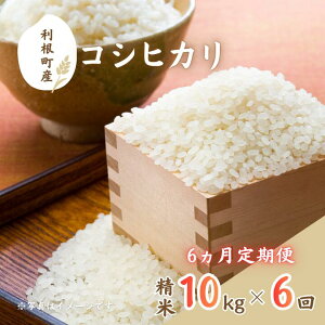 yӂ邳Ɣ[ŁzYRVqJ@5kg~10kg ^   R   RVqJ Ђ ߘa7NY V    ͂ 5kg 10kg  