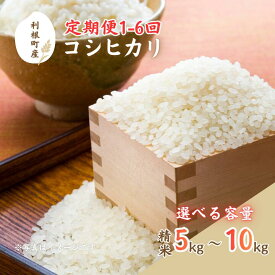 【ふるさと納税】利根町産コシヒカリ　精米5kg~10kg ／ 米 こめ コメ お米 おこめ コシヒカリ こしひかり 令和7年産 新米 白米 精米 ご飯 ごはん 5kg 10kg 定期便 送料無料