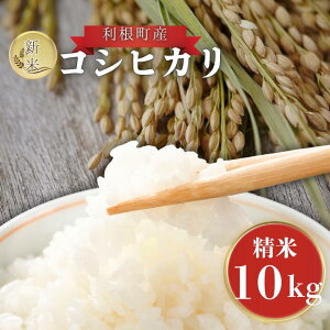 �y�ӂ邳�Ɣ[�Łz �������Y�@�R�V�q�J���@���ā@5kg~10kg �^ �� ���� �R�� ���� ������ �R�V�q�J�� �����Ђ��� �ߘa7�N�Y �V�� ���� ���� ���͂� ���� 5kg 10kg ��錧 ������ �Y�n���� ��������