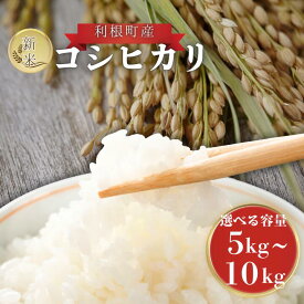 【ふるさと納税】 利根町産　コシヒカリ　精米　5kg~10kg ／ 米 こめ コメ お米 おこめ コシヒカリ こしひかり 令和7年産 新米 精米 白米 ごはん ご飯 5kg 10kg 茨城県 利根町 産地直送 送料無料