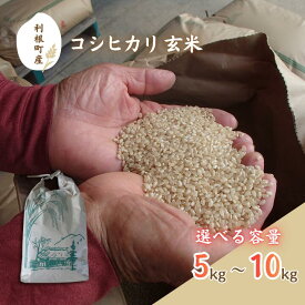 【ふるさと納税】 利根町産　コシヒカリ　玄米　5kg~10kg ／ 米 こめ コメ お米 おこめ コシヒカリ こしひかり 令和7年産 新米 玄米 ごはん ご飯 5kg 10kg 健康志向 茨城県 利根町 産地直送 送料無料