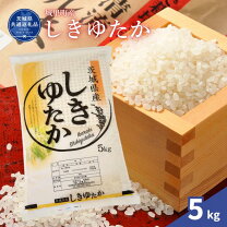 楽天市場】米 しきゆたかの通販