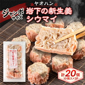【ふるさと納税】【鹿沼新名物】ヤオハンオリジナル岩下の新生姜シウマイ　20個入(800g)【配送不可地域：離島】【1505365】