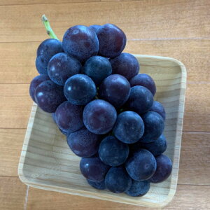 yӂ邳Ɣ[ŁzCԂǂ́@3kgyzsnFzy1610016z