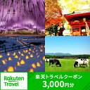 栃木県の対象施設で使える楽天トラベルクーポン 寄付額10,...