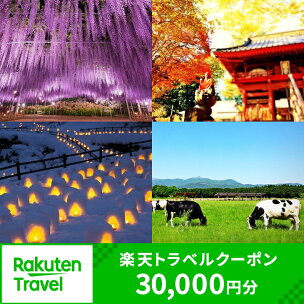 栃木県の対象施設で使える楽天トラベルクーポン 寄付額100...