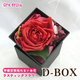 【ふるさと納税】D-BOX※着日指定不可