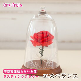 【ふるさと納税】エスペランス