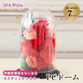 【ふるさと納税】【選べるサイズ】PCドーム タイプ